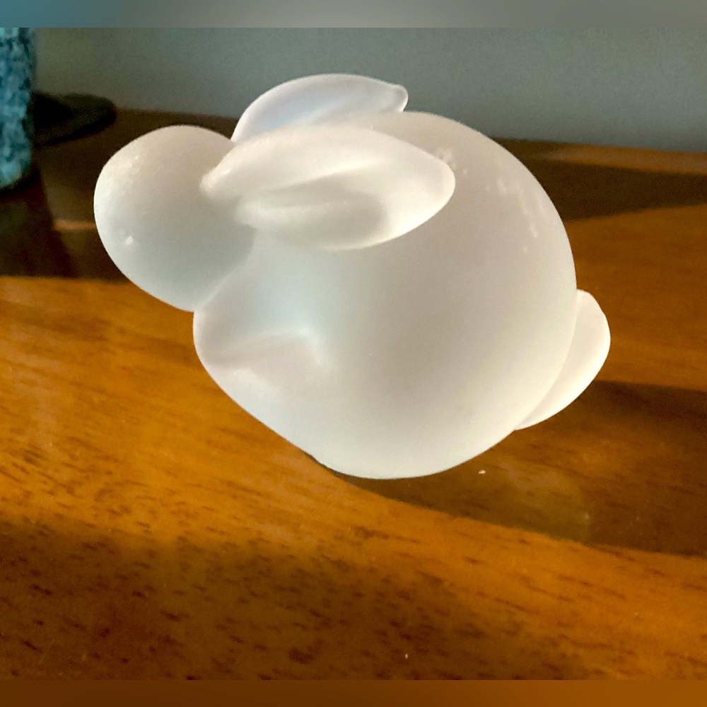 Source Unknown Frosted Glass Bunny Decor